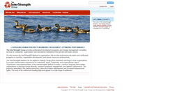 Desktop Screenshot of interstrength.com